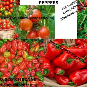 PEPPERS