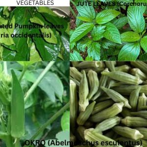 ORGANIC VEGETABLES